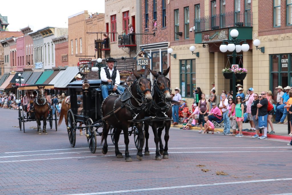 mules in Deadwood parade