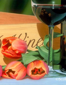 stems of napa, a wine and floral painting by scott jacobs
