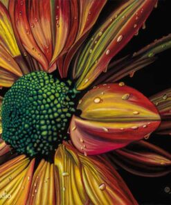 Irie Flower | Photorealistic Flower Art | Scott Jacobs Gallery