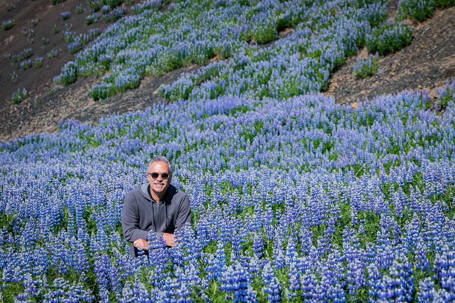 Scott Jacobs in lupine flower field in Iceland
