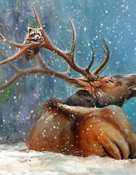painting of an elk bugling with a racoon hanging in his antlers by danial james