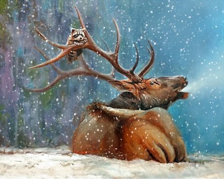 painting of an elk bugling with a racoon hanging in his antlers by danial james