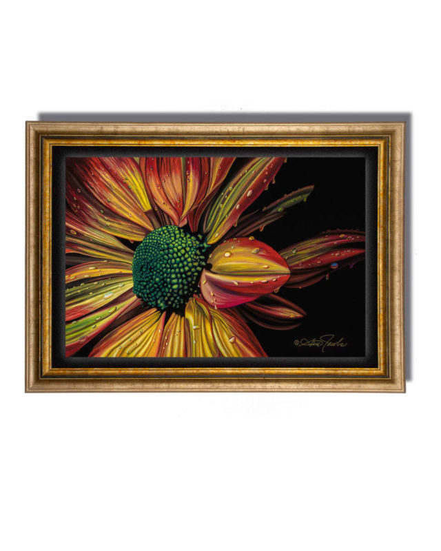 Irie Flower | Photorealistic Flower Art | Scott Jacobs Gallery