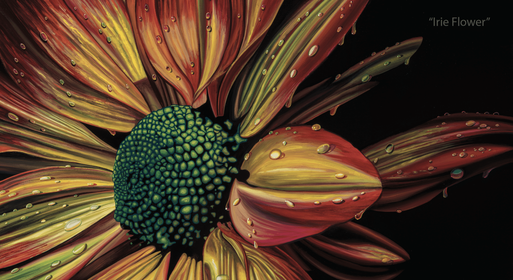 Scott Jacobs' flower painting, Irie Flower