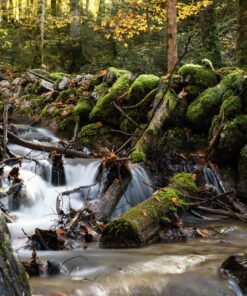 a beautiful photo of a stream of water in germany taken by olivia jacobs
