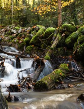 a beautiful photo of a stream of water in germany taken by olivia jacobs