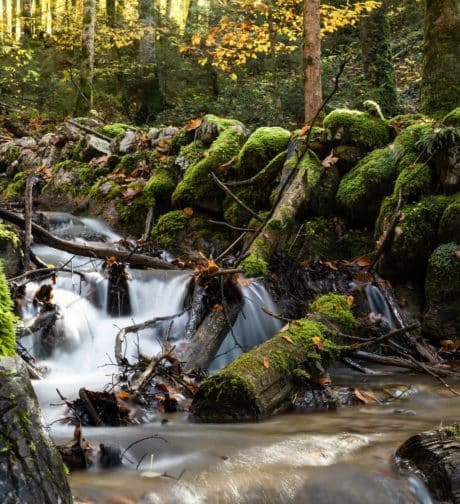 a beautiful photo of a stream of water in germany taken by olivia jacobs