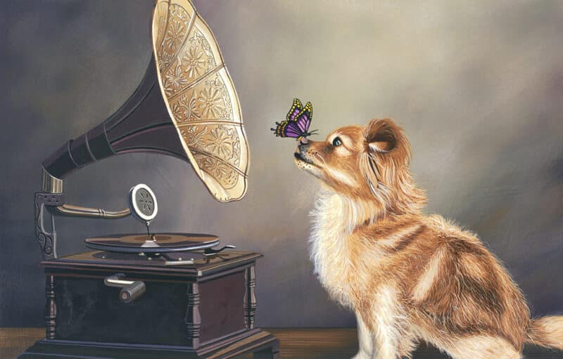 a scott jacobs painting of charlie, their dog with a butterfly on his nose