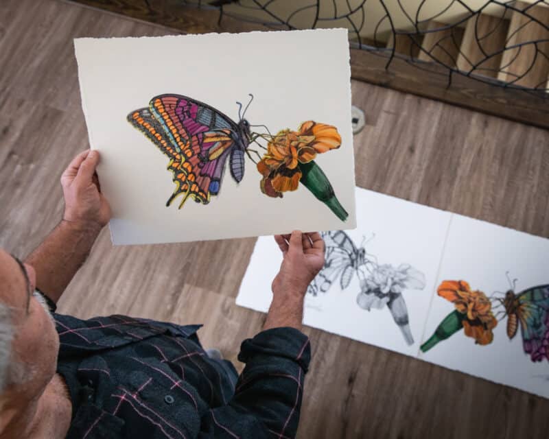 hand-painted butterfly print of "nature's prism" pen and ink by scott jacobs