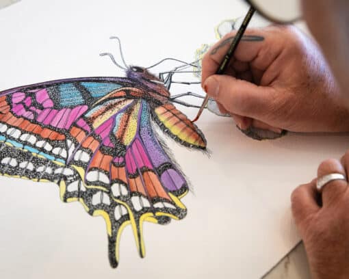 scott jacobs butterfly painting called nature's prism