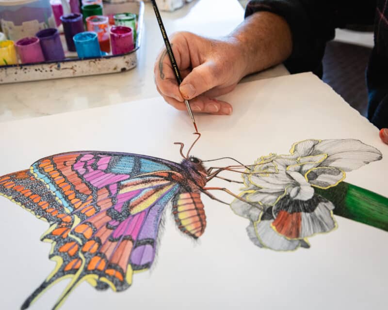 scott jacobs painting the butterfly giclee on paper called "nature's prism"
