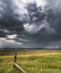 "Edge of the Storm"