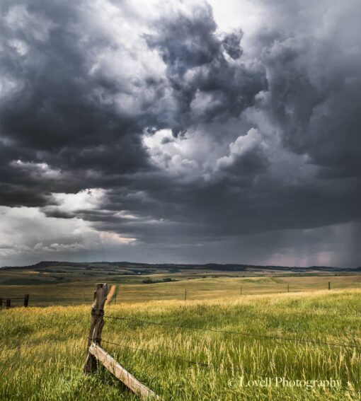 "Edge of the Storm"