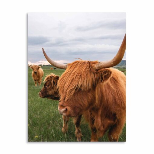 "A Mother's Love" Greeting Card