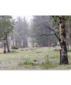 "Misty Mountain Air" Greeting Card