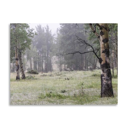 "Misty Mountain Air" Greeting Card