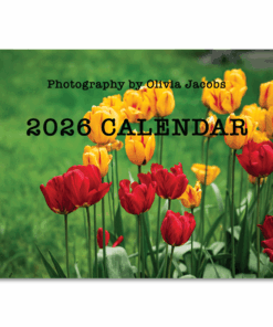 2026 calendar by Olivia jacobs landscape photography