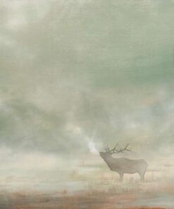 "First Light" 27 X 14